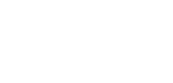 The CSS Point