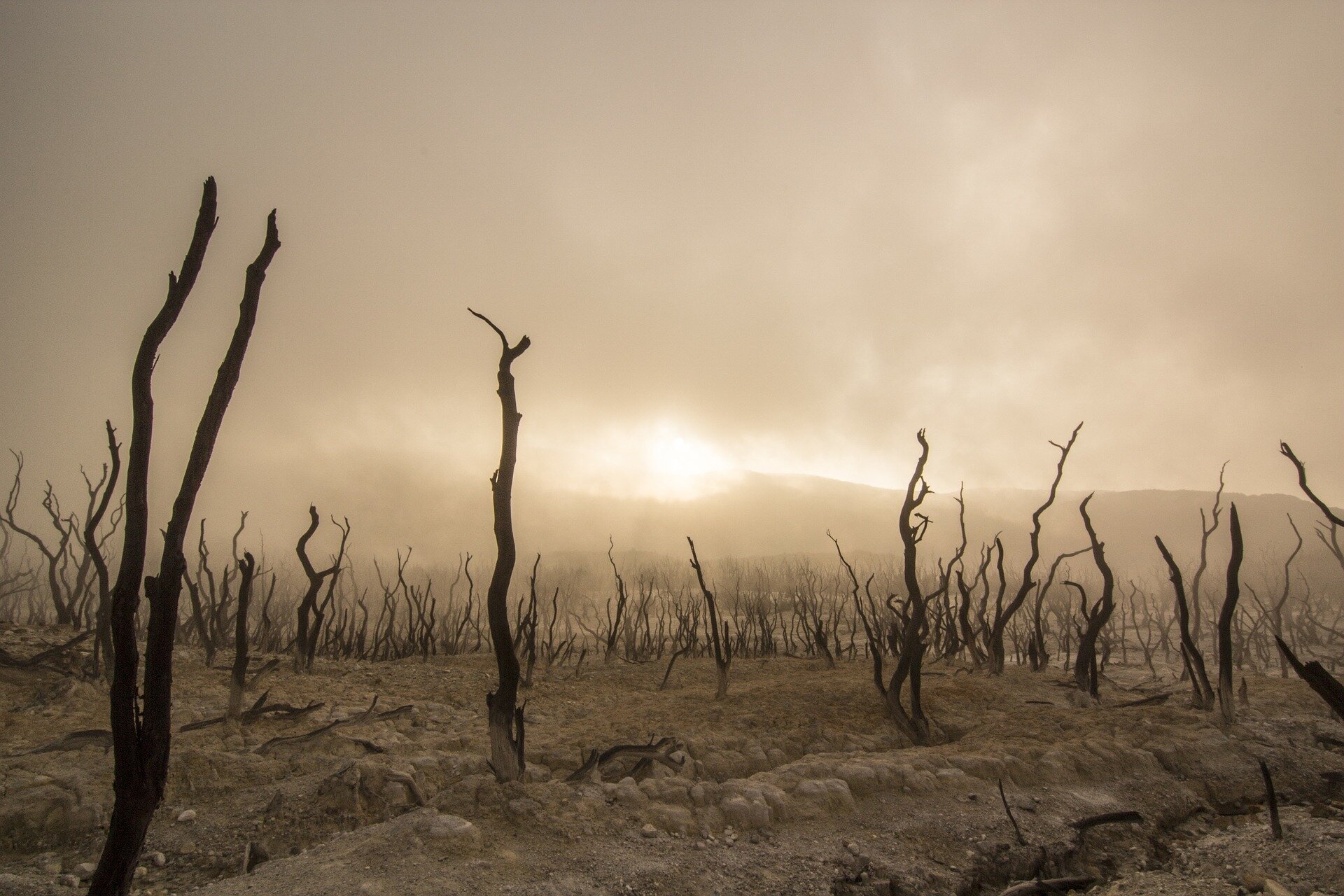 Climate Change Concerns | Editorial
