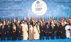 How Can OIC Improve the Security Situation in South Asia? By Samina Akhter