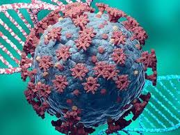 Looming 6th Wave | Editorial