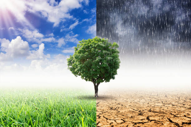 Climate Challenge By Zafar Ali Buledi